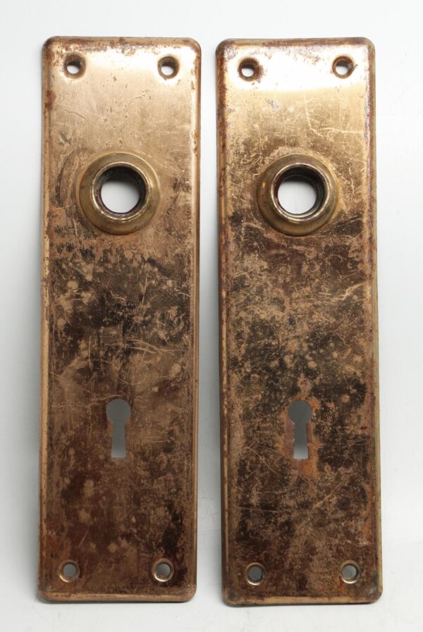 Back Plates - Brass Pressed 7.5 in. Back Plate