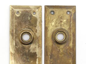 Back Plates - Q286401