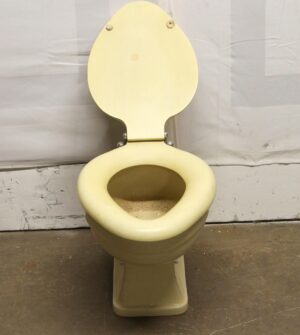 1950s light yellow ceramic toilet with matching lid and seat, shown front view without a tank.