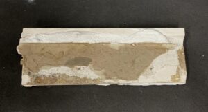 Bull Nose & Cap Tiles for Sale - P262996