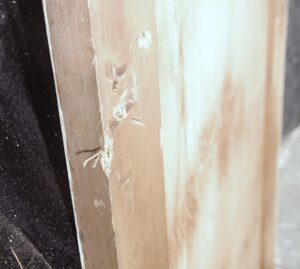 Cabinet Doors - P258559