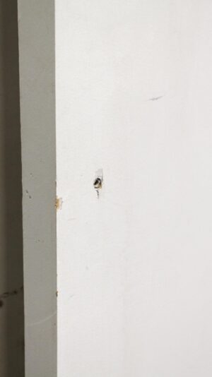Close-up of a white painted wooden closet door with a small screw hole and minor paint damage near the edge.