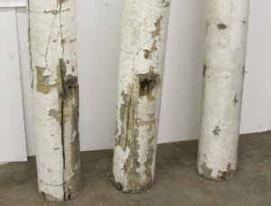 Columns & Pilasters - P264019