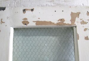 Commercial Doors - P258868