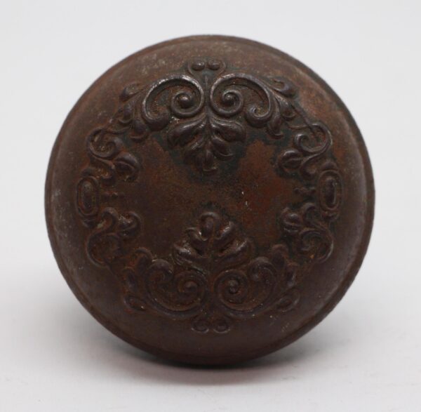 Single cast iron door knob with an ornate raised scroll pattern on the face.