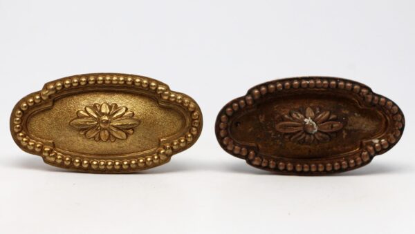 Door Knobs - Pair of Beaded Floral Cast Brass Oval Door Knobs