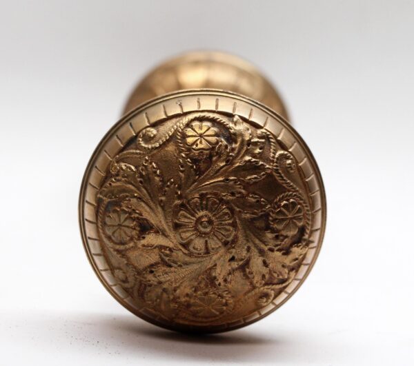 Door Knobs - Polished Bronze Entry Pair of Vernacular Door Knobs