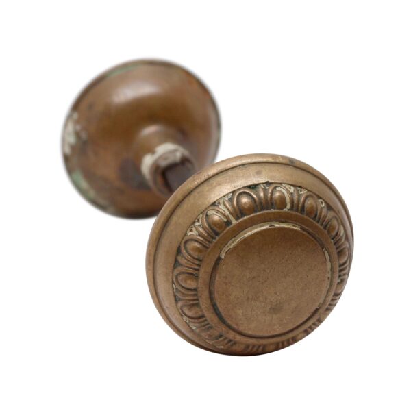 Pair of antique brass door knobs with a concentric egg and dart design, shown in close-up.