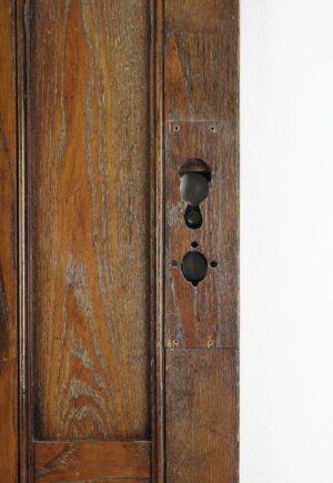 Close-up of a dark wood oak door edge showing the lock cutout, latch holes, and aged grain.