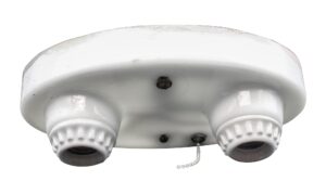 Flush & Semi Flush Mounts - Rare 1910s White Milk Glass 2 Bulb Flush Mount Light