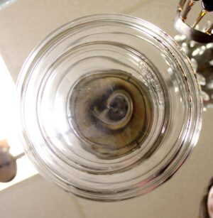 Globes for Sale - N256201