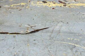 Close-up of an antique industrial metal table surface with chipped white paint and a rusty cross strap visible near the center.