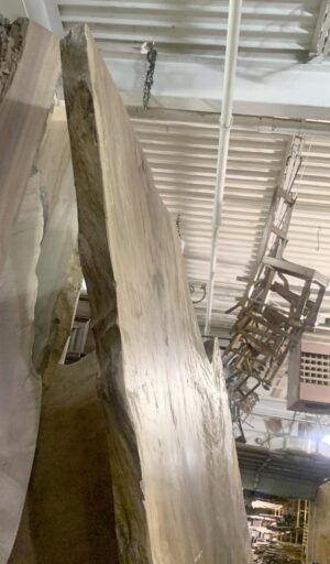 Live Edge Wood Slabs for Sale - Q272423