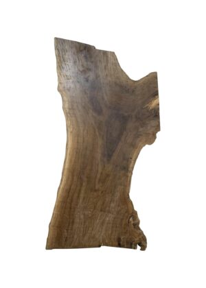 Live Edge Wood Slabs - Raw 8.4 Foot Sycamore Live Edge Wood Slab