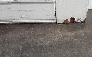 Close-up of the bottom corner of a 7-panel wood entry door, showing chipped white paint and exposed damaged wood.