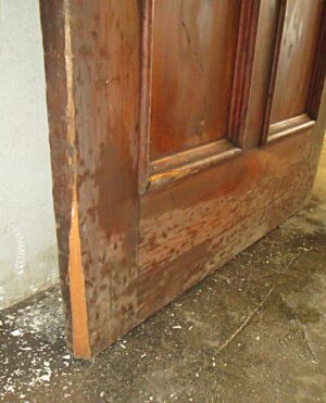 Close-up of a dark wood tone five-panel door showing the lower section and a cracked piece of molding near the bottom edge.