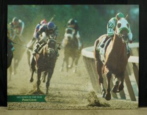 Prints - Belmont Park 2001 Horse of The Year Point Given Vinyl Print