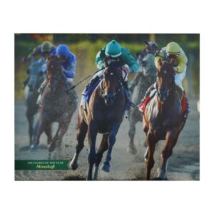 Prints - Belmont Park 2003 Horse of The Year Mineshaft Vinyl Print