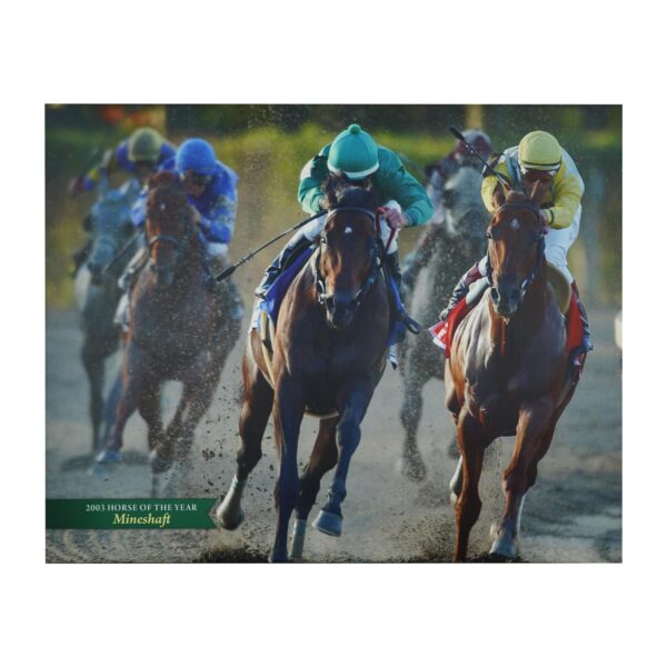 Prints - Belmont Park 2003 Horse of The Year Mineshaft Vinyl Print