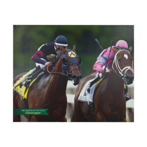 Prints - Belmont Park 2004 Horse of The Year Ghostzapper Vinyl Print