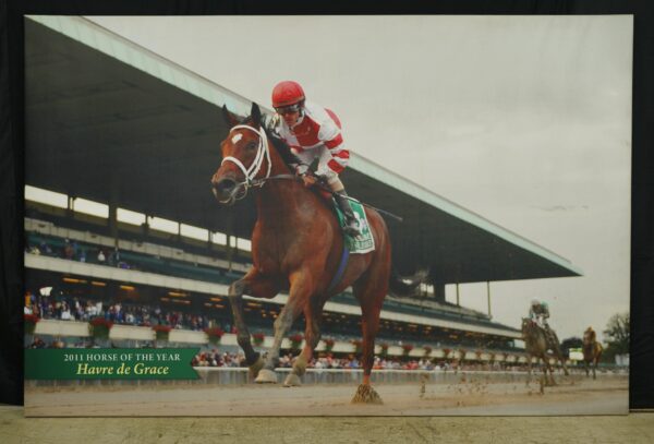 Prints - Belmont Park 2011 Horse of The Year Havre de Grace Vinyl Print