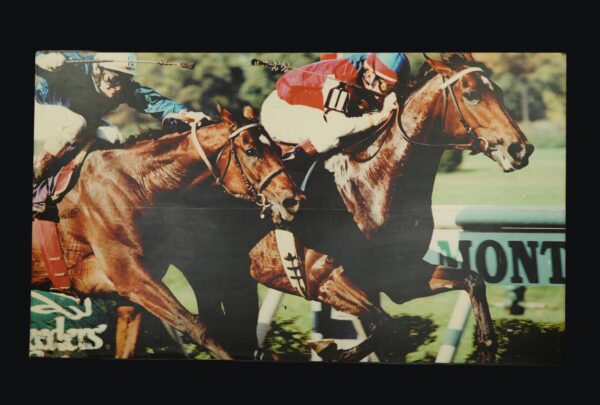 Prints - Belmont Park Horse Racetrack Vinyl Print