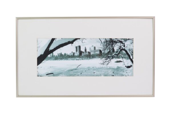 Prints - Black & White Framed Photo Print of New York City Park
