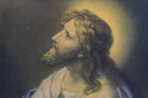 Prints for Sale - Q274233