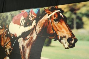 Prints for Sale - Q286486