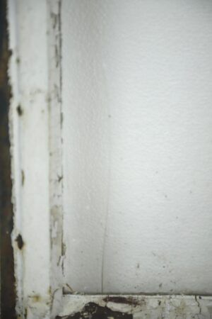 Reclaimed Windows for Sale - Q281840