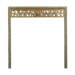Screens & Covers - Antique Regency Bronze Fireplace Insert with Lion Head Motif