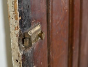 Specialty Doors for Sale - Q278864