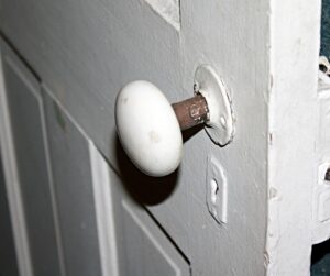 Standard Doors for Sale - K187983