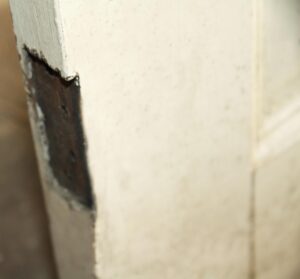 Standard Doors for Sale - K193802