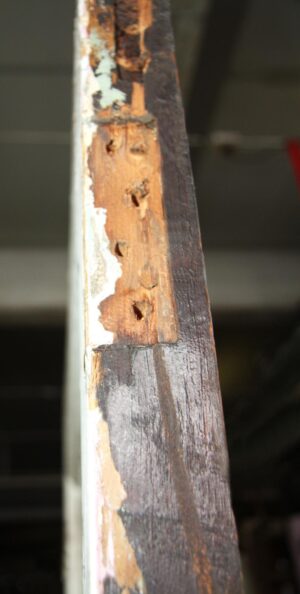 Standard Doors for Sale - K193838