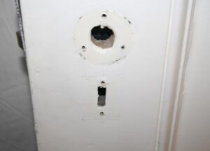 Standard Doors for Sale - L201952