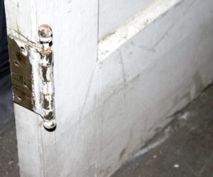 Standard Doors - K188562