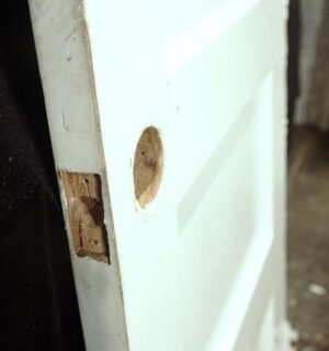 Standard Doors - P258527