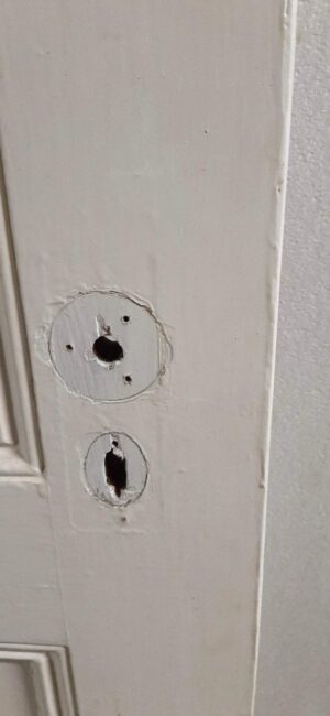 Standard Doors - P258653