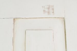 Standard Doors - Q276025