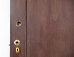 Standard Doors - Q282476