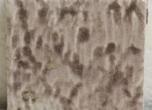 Close-up of a square ceramic wall tile with a crackled surface, mottled purple tones, and visible age-related chips and scrapes.