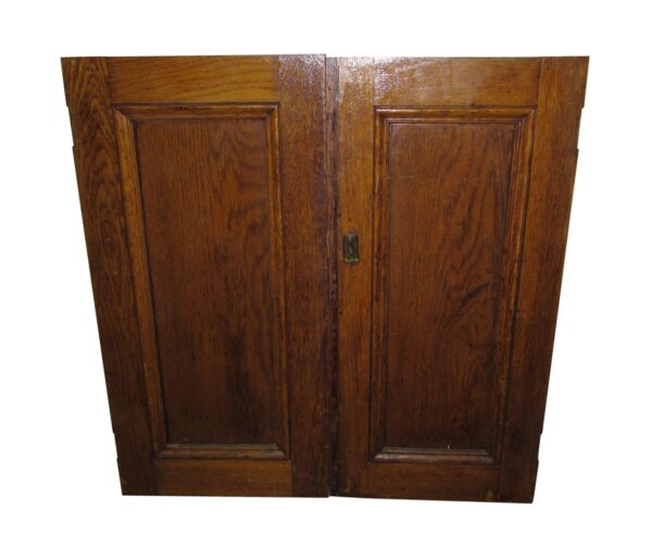Double-door cabinet with one-panel fronts and a dark wood tone finish, shown closed.