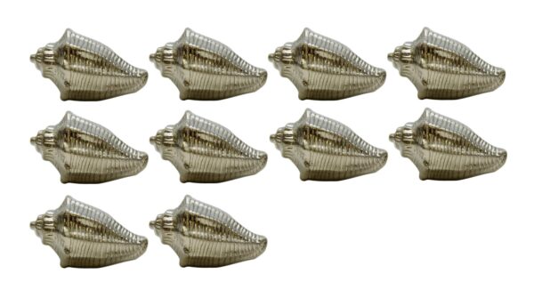 Set of 10 polished brass shell drawer knobs shown in a front view, with ridged shell shape and mounting screws included.