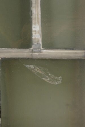 Exclusive Glass - Q287340