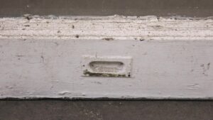 Reclaimed Windows - M236649