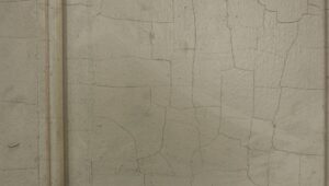 Standard Doors - M231628