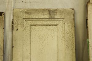 White wood door with one recessed panel, shown in a close-up view of the upper half and weathered surface.