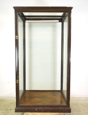 Cabinets - 1910s Huge Antique English Museum Display Case Vitrine
