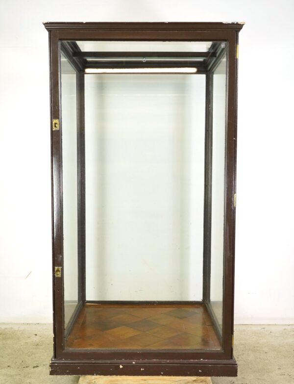 Cabinets - 1910s Huge Antique English Museum Display Case Vitrine